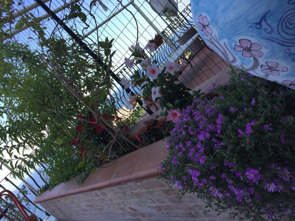 B&B La Terrazza Sul Mare ตาออร์มินา ภายนอก รูปภาพ